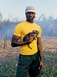 Tony Walker